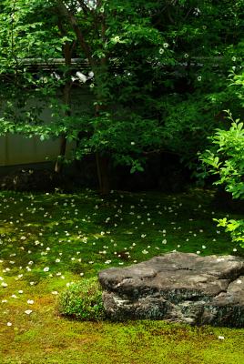 20120624105643.jpg