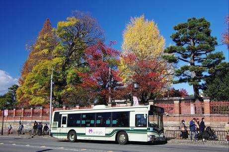 IMGP2166s.jpg